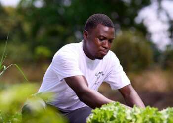 GanaFert Ltd: Powering Greener Farms with Organic Innovation