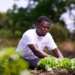 GanaFert Ltd: Powering Greener Farms with Organic Innovation