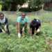 KIC advocates for gender inclusion and sustainable food systems