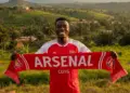 Arsenal supporter