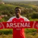 Arsenal supporter