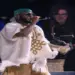 Davido takes over Gobi Stage at 2026 Coachella Valley Music and Arts Festival