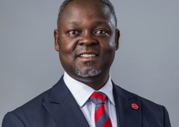 Wellbeing, Work, and Performance: Rethinking Productivity in African Organisations
