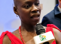 France-Ghana Relationship Poised for a Lasting Future – French Ambassador