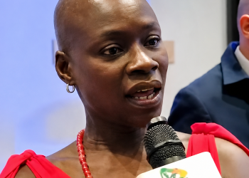 France-Ghana Relationship Poised for a Lasting Future – French Ambassador