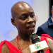 France-Ghana Relationship Poised for a Lasting Future – French Ambassador