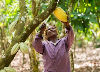 Fairtrade Africa Convenes Industry for Change Day 2026