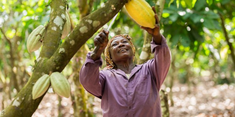 Fairtrade Africa Convenes Industry for Change Day 2026