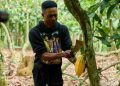 When Cocoa prices fall, farmers shouldn’t have to bear the cost